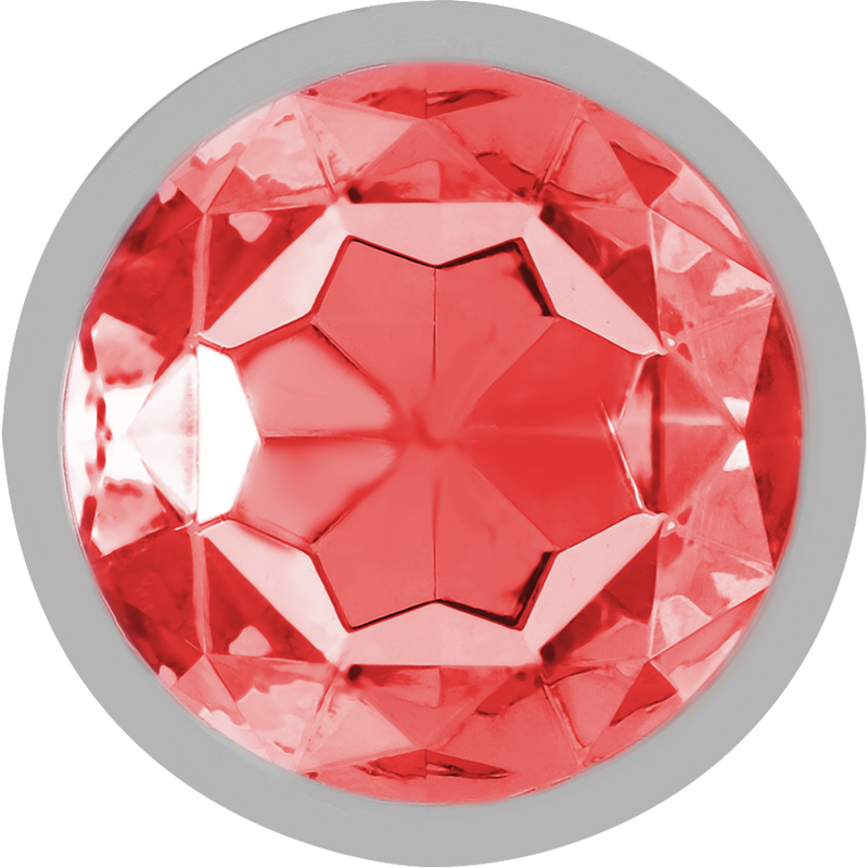 INTENSE - ALUMINUM METAL BUTT PLUG WITH RED CRYSTAL SIZE G