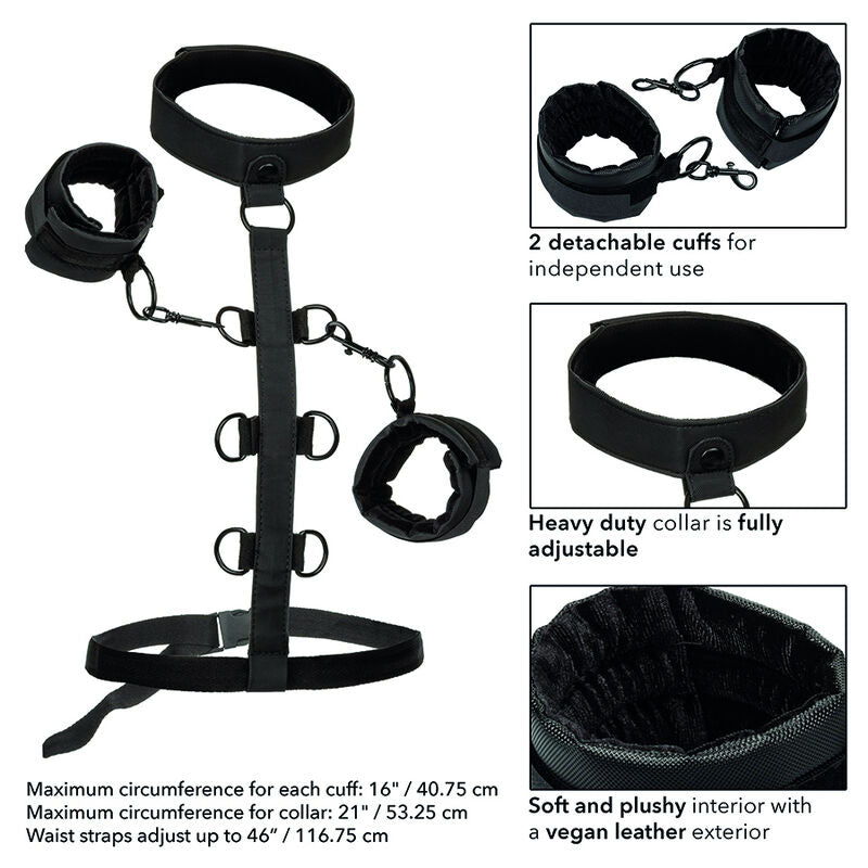 CALEXOTICS - COLLAR DE RETENCIÓN CORPORAL SIN LÍMITES