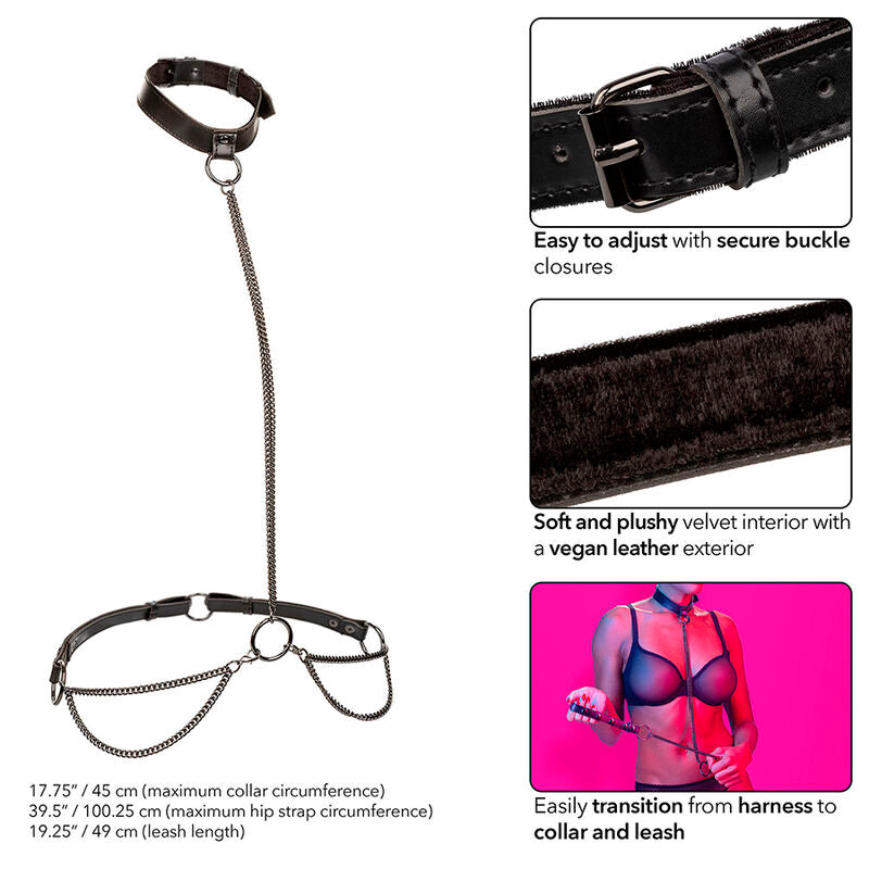 CALEXOTICS - COLLAR Y CORREA DE CADENA EUPHORIA
