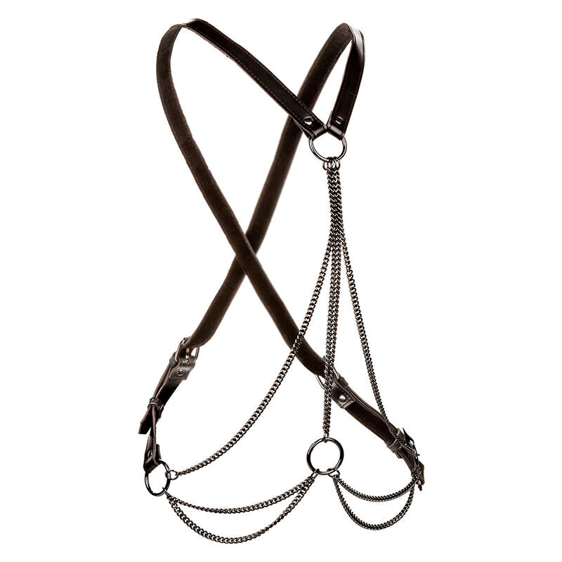 CALEXOTICS - ARNÉS MULTIUSOS EUPHORIA PREMIUM TALLA GRANDE