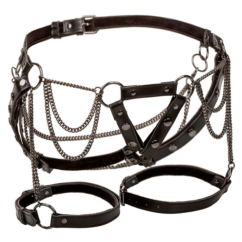CALEXOTICS - ARNÉS DE MUSLO MULTICAIN EUPHORIA PREMIUM TALLA GRANDE