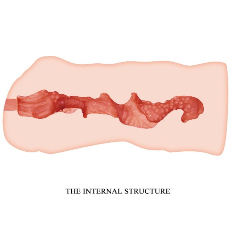 CRAZY BULL - HERMOSO MASTURBADOR DE VAGINA 13.7 CM