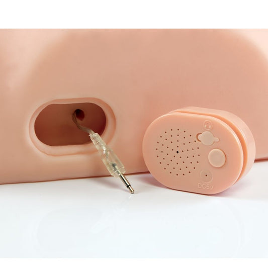 PDX MALE - HOMBRE INTERACTIVO, JODELO TONTO