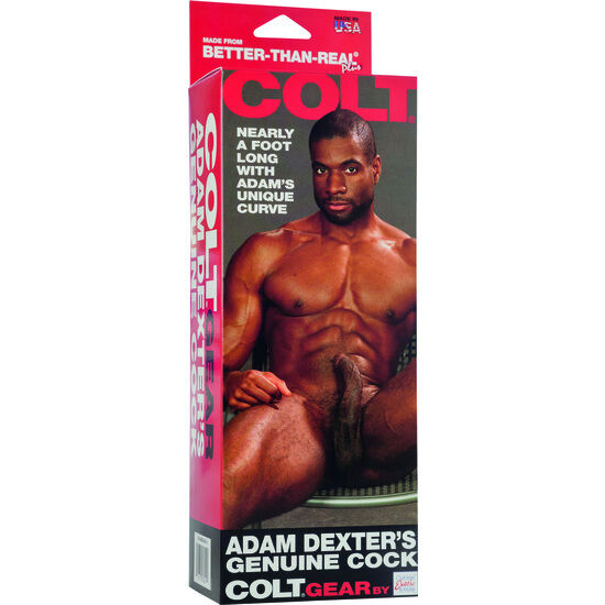 CALEXOTICS - REALISTIC PENIS COLT ADAM DEXTER