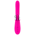 Diversia - Rotación del Conejo 24 Cm