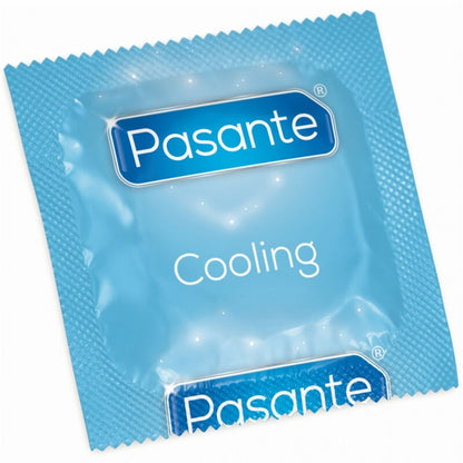 PASANTE - CONDOM REFRIGERANT EFFECT BAG 144 UNITS