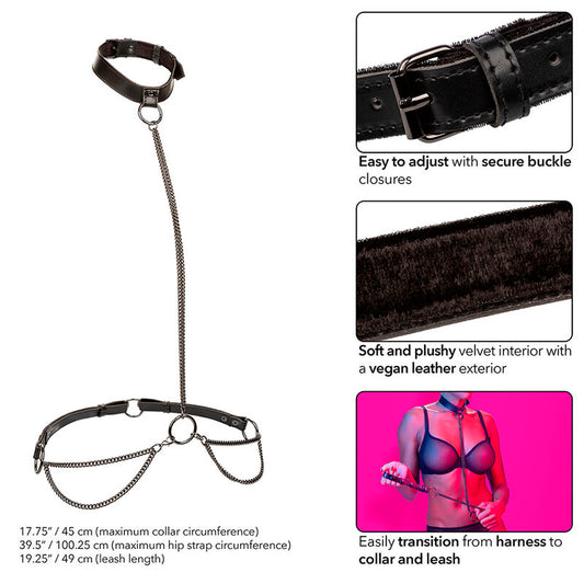 CALEXOTICS - EUPHORIA COLLAR AND CHAIN LEASH