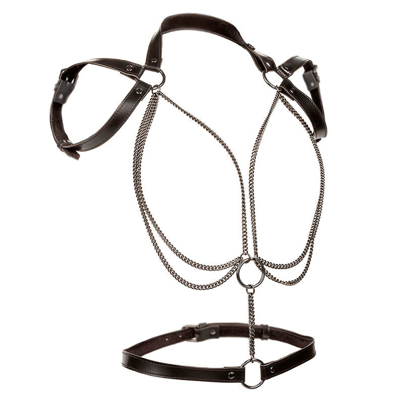 CALEXOTICS - ARNÉS MULTICAMBIADOR EUPHORIA PREMIUM