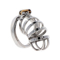 Hidden Desire - Extreme Metal Chastity Penis Cage