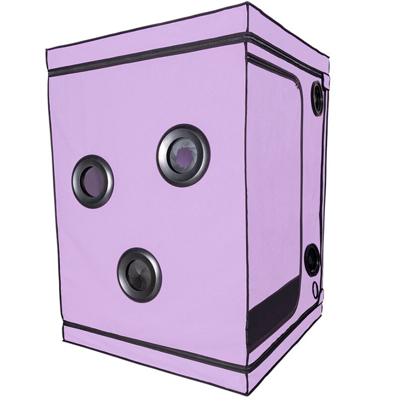 SECRET DOME - ESCÂNDALO ROXO DO CLUBE KINK