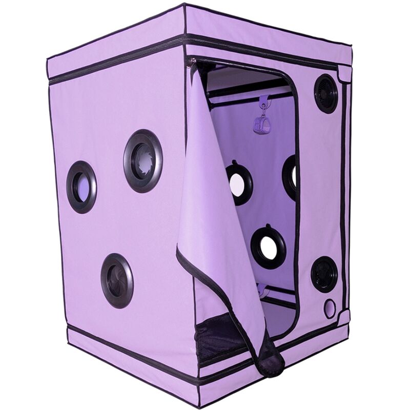 SECRET DOME - ESCÂNDALO ROXO DO CLUBE KINK