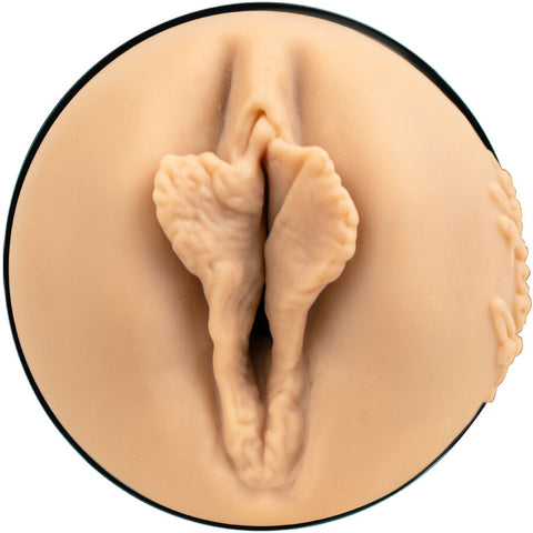 Vaginas Porn Stars