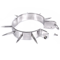 Metal Hard - Colar De Escravo Bdsm Com Pontos