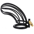 Metal Hard - Metal Black Bird Chastity Ring Cage